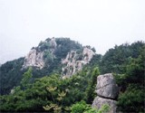 두류남산 이미지